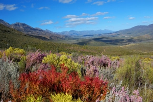 Oudtshoorn &amp; De Rust
