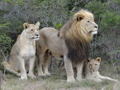 June, July, August 2018 No 38