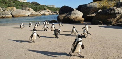 January 2016 - No 23