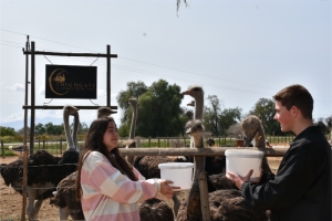 HIGHGATE OSTRICH SHOW FARM