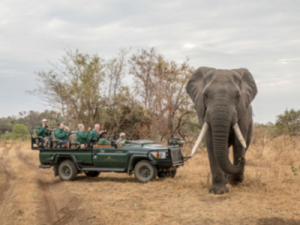 Safari Destinations