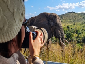 Safari for Six