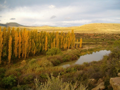 Ganora Guest Farm &amp; Excursions