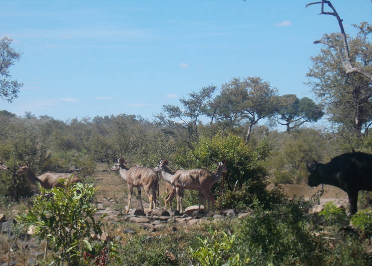 cid:image005.jpg@01D3CCEA.BF1B5750