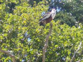 cid:image003.jpg@01D3C524.BA843F40