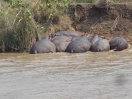 cid:image008.jpg@01D3C524.BA843F40