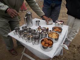 Amakhosi early morning game drive with coffee, Amarula and cookies