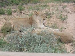 cid:image019.jpg@01D3D5D0.1A6ECFE0