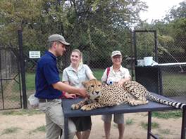 cid:image020.jpg@01D3D5D1.1169BDA0