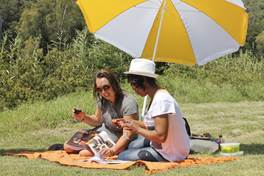 Bontebok_Cape Nature Reserve