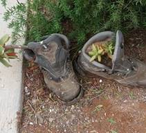 cid:image014.jpg@01D57265.D2C496A0