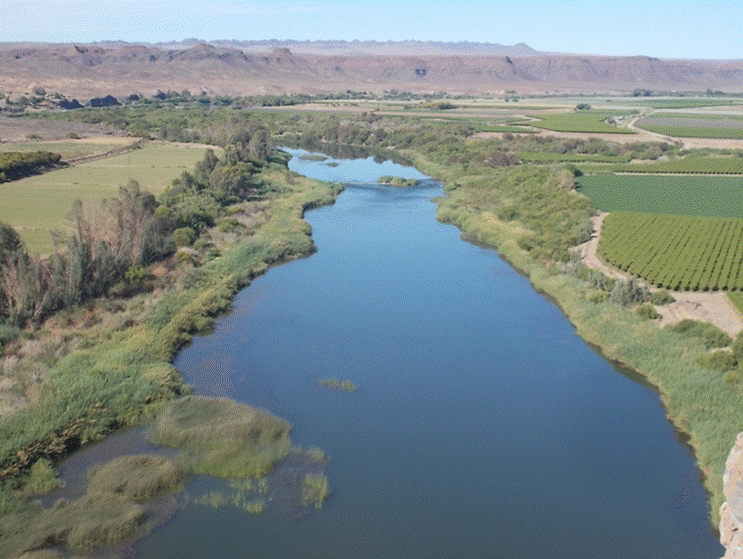 cid:image007.png@01D4B1EF.993A6C70