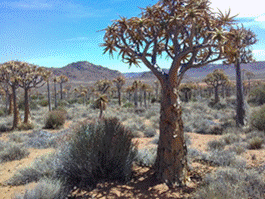 cid:image016.png@01D4B1EF.993A6C70