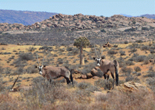 cid:image047.png@01D4B1EF.993A6C70