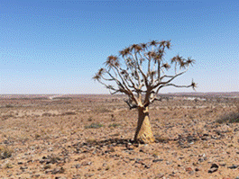 cid:image087.png@01D4B1EF.993A6C70