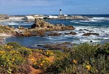 cid:17217fe7bd4264660f8