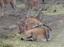 cid:image030.jpg@01D5CC57.1B91AAD0