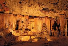 cid:17217fe7bd45bfffcc10