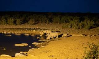 Waterhole at Halali