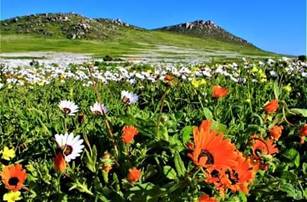 FB_IMG_1604128796083