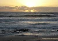 Click On The Image To Enlarge!