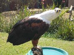 cid:image021.jpg@01D35336.12E17060